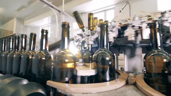 Wine Bottling Line at a Modern Factory