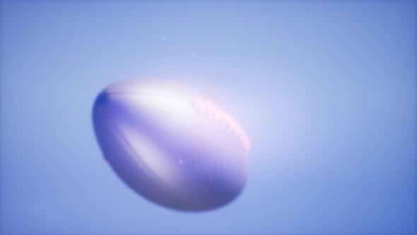 Super  Flying Football alt