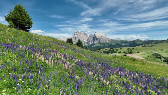 Beautiful summer day in the Dolomites mountains