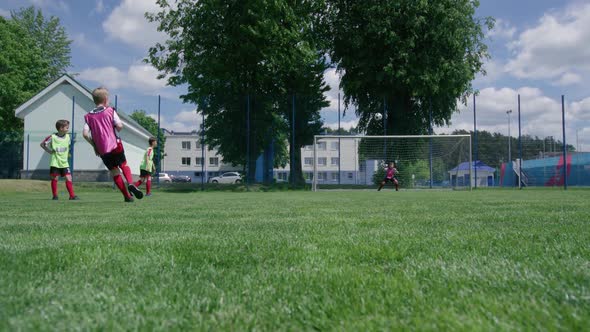 Young Team Play Soccer Training Day on the Football Field Boys Play Football on a Summer Day Boy