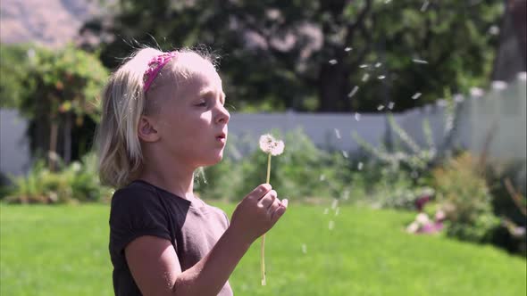 Slow motion handheld shot of a little girl blowing on a dandelion