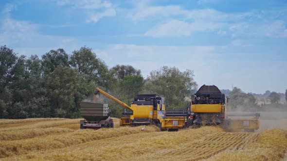 Rural farmland landscape. Combine and tractor on wheat cereal field