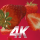 Exploding Strawberry Fruit with Alph 4K - VideoHive Item for Sale