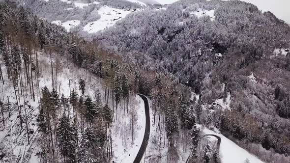 Orbit shot around a road which goes through a forest in Switzerland.
