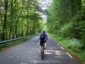 Rear view of man with helmet riding a bicycle through the green forest - PhotoDune Item for Sale