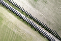 Aerial photographic documentation of a cypress road - PhotoDune Item for Sale