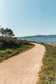 Dirt road through a forest by the sea - PhotoDune Item for Sale