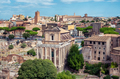 The ruins of the famous Roman Forum - PhotoDune Item for Sale
