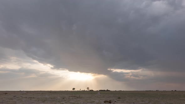 Stormy Clouds With Bright Sun Flares Over The Nxai Pan National Park With African Animals Walking In