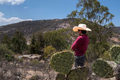 Man with a cowboy hat looking at the abandoned house of his grandparents in Mexico - PhotoDune Item for Sale