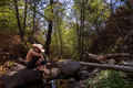 Man sits on a rock in a forest, wearing a cowboy hat. - PhotoDune Item for Sale