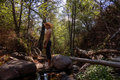 Shirtless cowboy man in creek with trees - PhotoDune Item for Sale