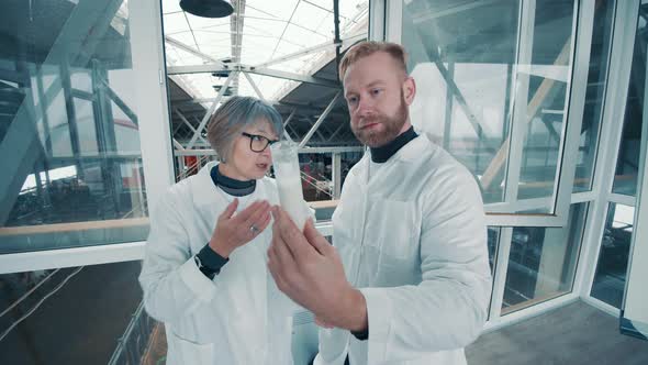 Test Tube with Raw Milk is Getting Examined By Livestock Farmers