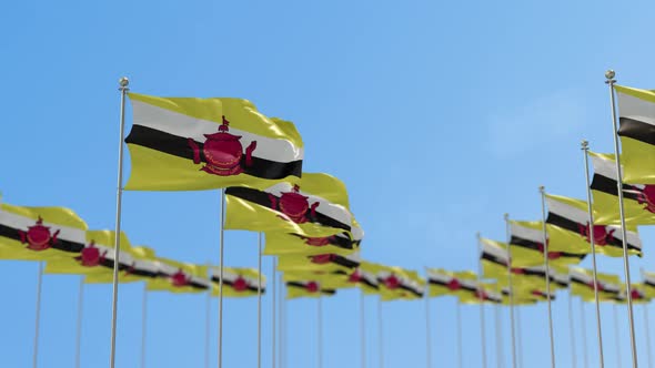 Brunei Row Of Flags 3D Animation