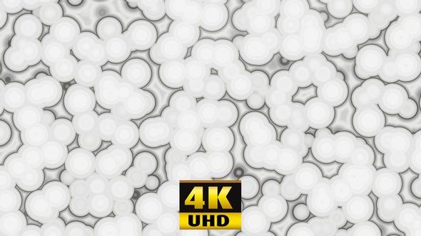 Black And White Amoeba 4K