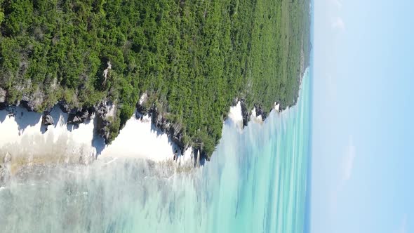 Zanzibar Tanzania  Ocean Shore Covered with Green Thickets Vertical Video Aerial View