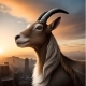 Goat