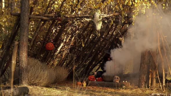 The Witch Waves Hands Over Kettle with the Smoke Sitting in Wooden Hut