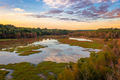 Dyar's Pasture, Madison, Georgia, USA is a freshwater wetland and bird sanctuary. - PhotoDune Item for Sale