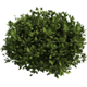 Bush 4