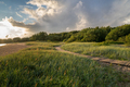 Summer rural landscape with green field, path and lake at sunset - PhotoDune Item for Sale