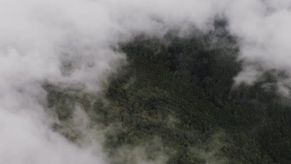 Window in clouds showing green forest underneath, Aerial shot, Slovakia