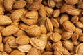 Background of unpeeled almonds in the shell. - PhotoDune Item for Sale