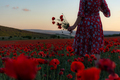 A beautiful girl in a red dress walks through a field of poppies - PhotoDune Item for Sale