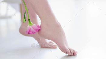 in. skin tender as a rose concept. winter skin care. pedicure and foot care, smooth heels. close up view. Copy space.