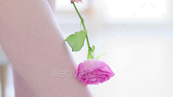 in. skin tender as a rose concept. winter skin care. pedicure and foot care, smooth heels. close up view. Copy space.