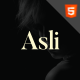 Asli – AJAX Portfolio HTML5 Template - ThemeForest Item for Sale