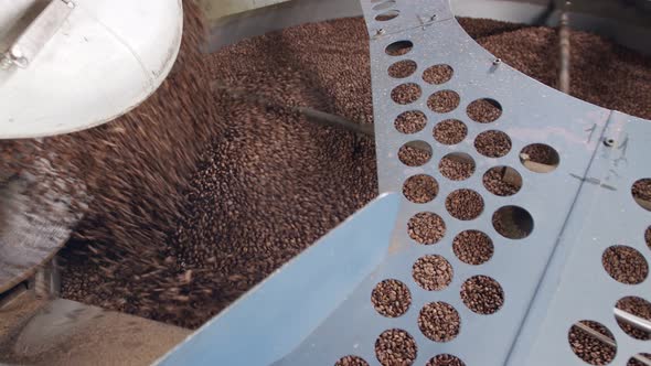 coffee beans falling from a large roasting oven in a coffee factory