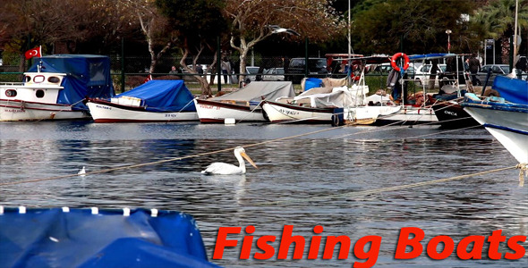 Fishing Boats