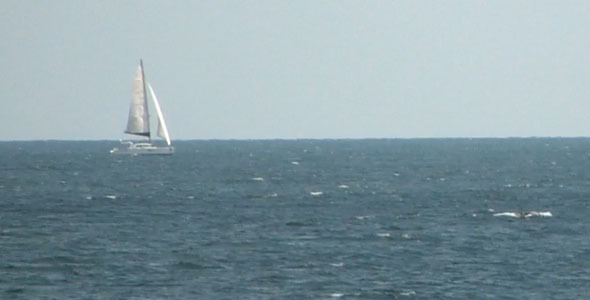 Sailboat On The Sea