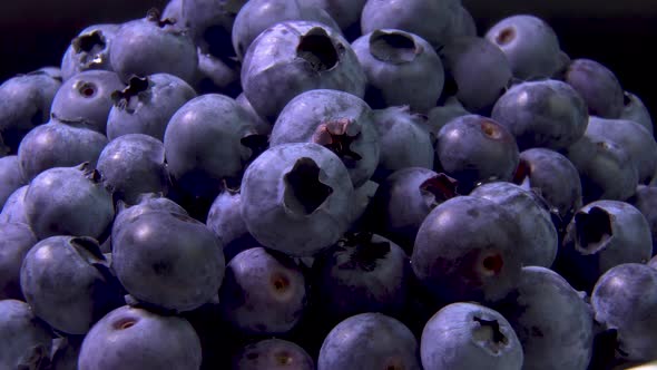 Close Up Rotate Blueberries.