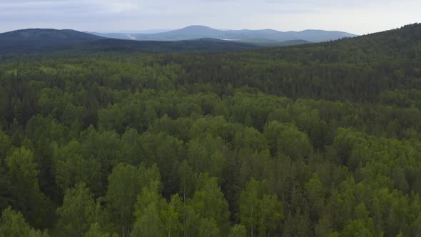 Drone Flight Over Green Forest and Hills on a Background