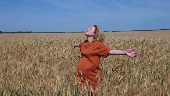 Happiness, Pregnancy, Maternity, Freedom, Nature Concept. Pregnant Woman In Field