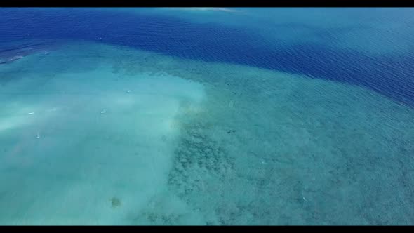 Aerial drone seascape of marine coastline beach wildlife by transparent lagoon and white sand backgr