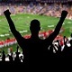 Stadium Crowd Cheering