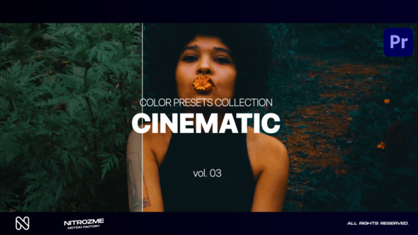 Cinematic LUT Collection Vol. 03 for Premiere Pro