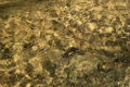 Water mountain river texture. Full frame - PhotoDune Item for Sale