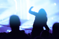 Rear view of crowd of people with arms outstretched at concert - PhotoDune Item for Sale