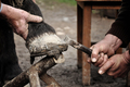 Farrier blacksmith hooves a horseshoe in a village - PhotoDune Item for Sale