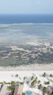 Vertical Video of Low Tide in the Ocean Near the Coast of Zanzibar Tanzania