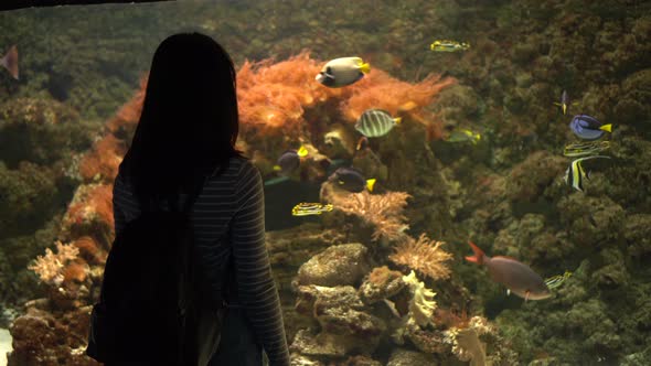 A Young Woman in the Aquarium Looks at the Marine Life