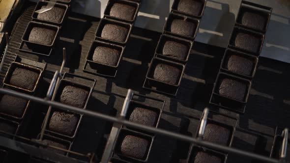 Top View of Freshly Baked Loaves of Rye Bread in Molds on Conveyor on a Factory