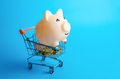 Happy piggy bank in a shopping cart.  - PhotoDune Item for Sale