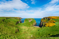 Looking out to the ruins of Dunseverick castle - PhotoDune Item for Sale