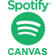Spotify Canvas Creator - VideoHive Item for Sale