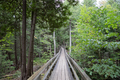 Crawford walking trail in Ontario, Canada - PhotoDune Item for Sale